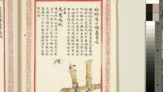 毛诗品物图考（四）册 螟蛉有子蜾蠃负之为鬼为蜮 1.jpg