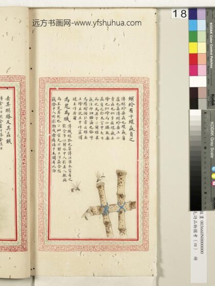 毛诗品物图考（四）册 螟蛉有子蜾蠃负之为鬼为蜮 2.jpg