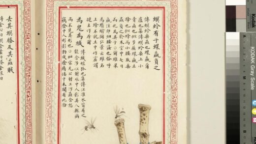 毛诗品物图考（四）册 螟蛉有子蜾蠃负之为鬼为蜮 2.jpg