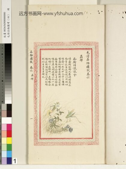毛诗品物图考（四）册 螽斯羽诜诜兮 1.jpg