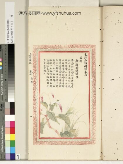 毛诗品物图考（四）册 螽斯羽诜诜兮 2.jpg