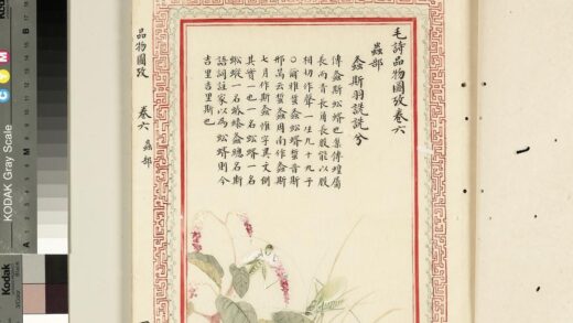 毛诗品物图考（四）册 螽斯羽诜诜兮 2.jpg