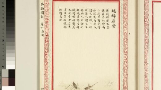 毛诗品物图考（四）册 蟋蟀在堂 1.jpg