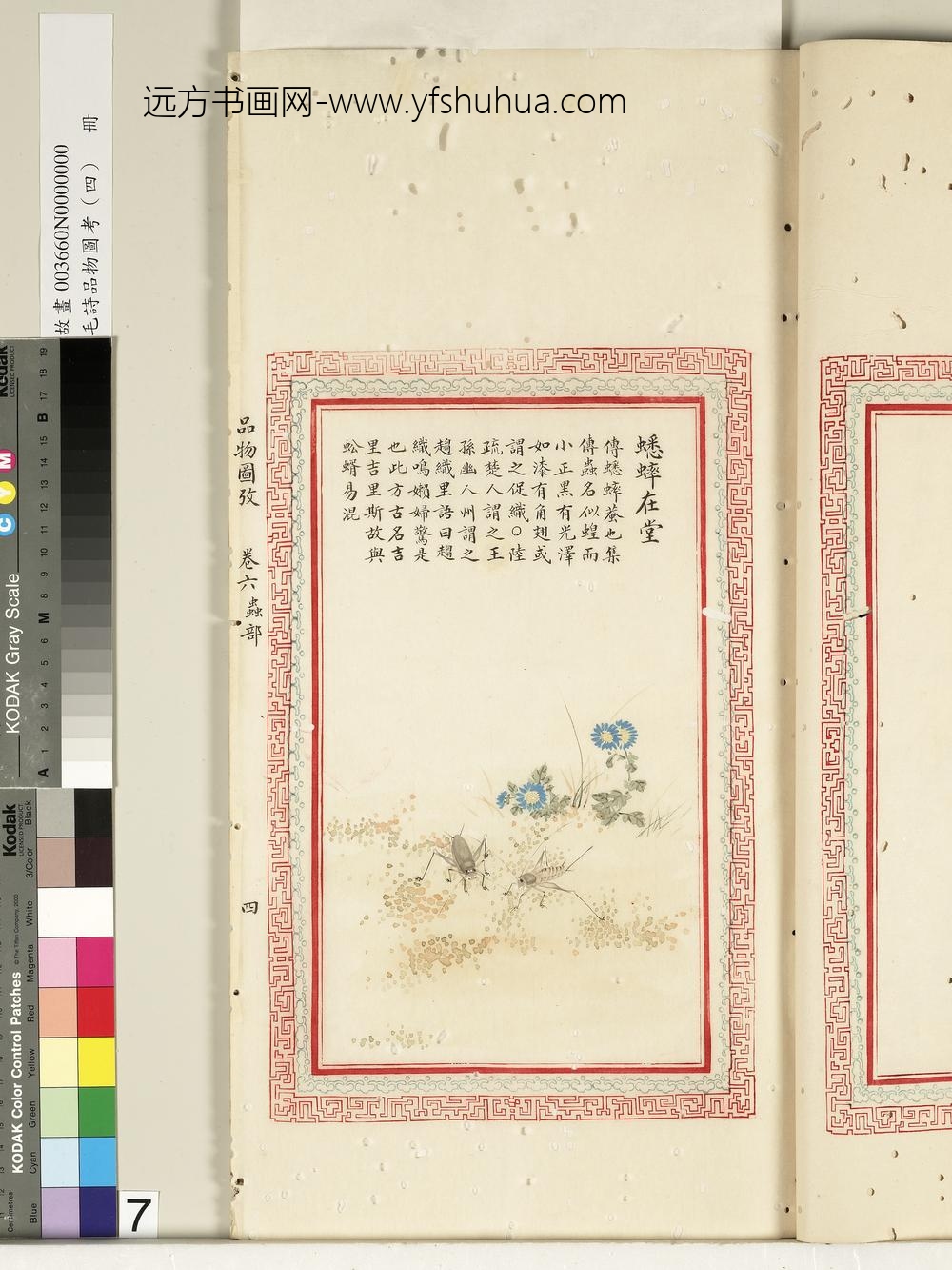 毛诗品物图考（四）册-蟋蟀在堂-