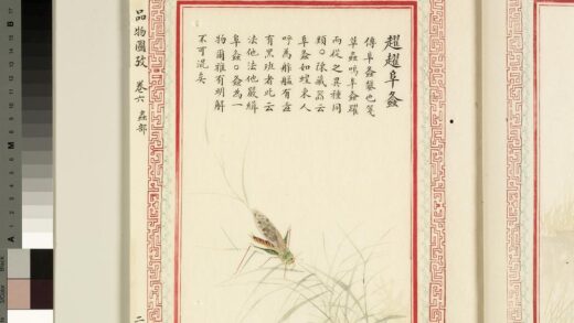 毛诗品物图考（四）册 趯趯阜螽 1.jpg