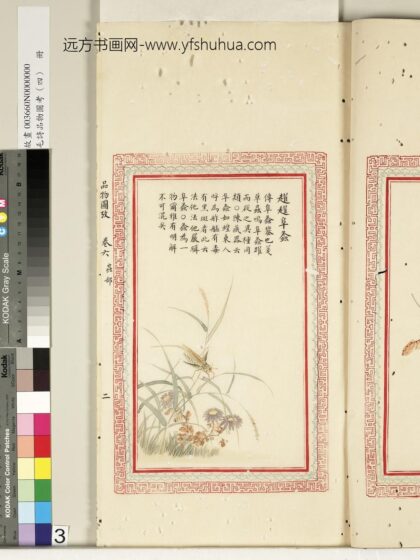 毛诗品物图考（四）册 趯趯阜螽 2.jpg