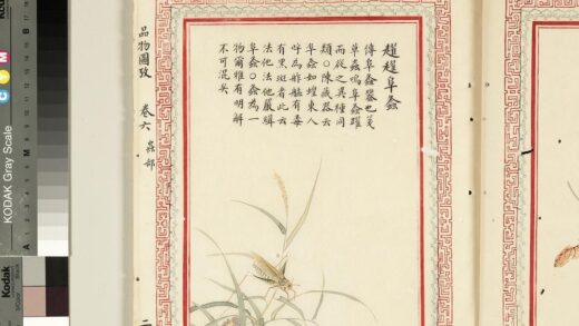 毛诗品物图考（四）册 趯趯阜螽 2.jpg