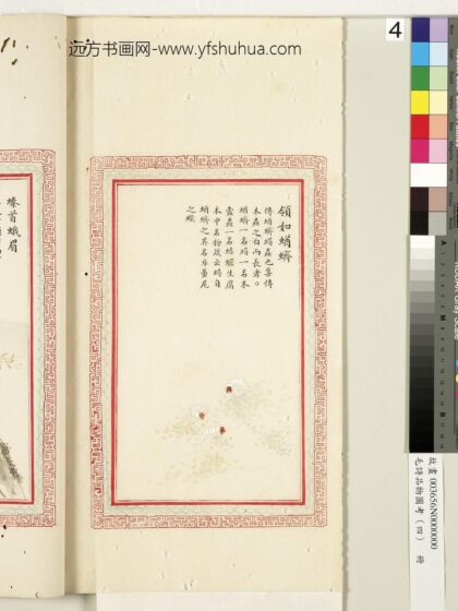 毛诗品物图考（四）册 领如蝤蛴 1.jpg