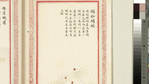 毛诗品物图考（四）册 领如蝤蛴 1.jpg