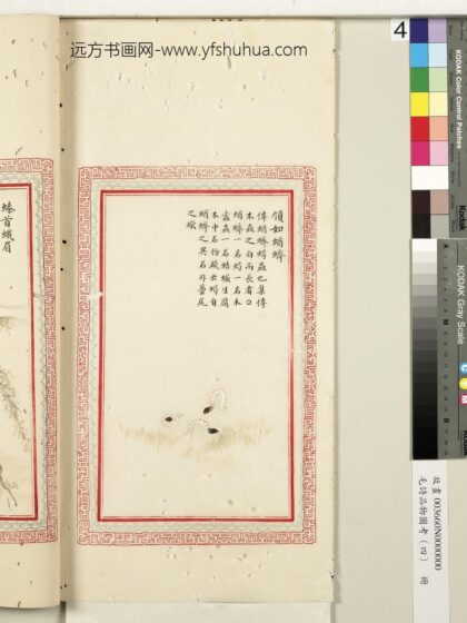 毛诗品物图考（四）册 领如蝤蛴 2.jpg