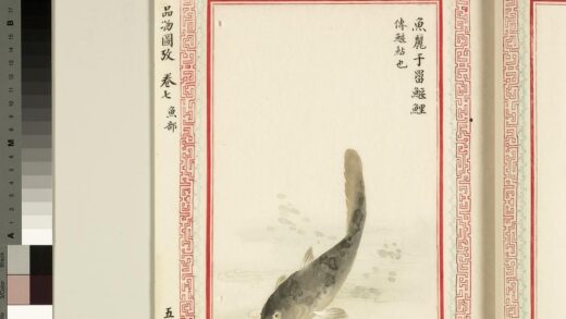 毛诗品物图考（四）册 鱼丽于罶鰋鲤 1.jpg