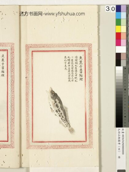 毛诗品物图考（四）册 鱼丽于罶鲂鲤 1.jpg