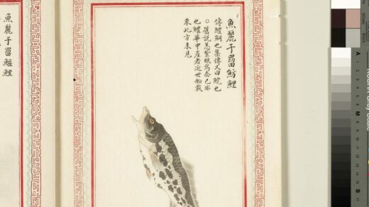 毛诗品物图考（四）册 鱼丽于罶鲂鲤 1.jpg