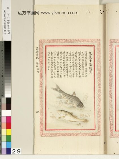 毛诗品物图考（四）册 鱼丽于罶鲿鲨 1.jpg