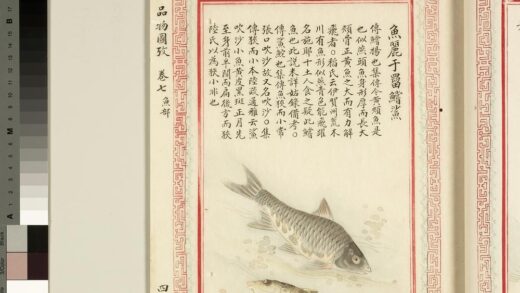 毛诗品物图考（四）册 鱼丽于罶鲿鲨 1.jpg