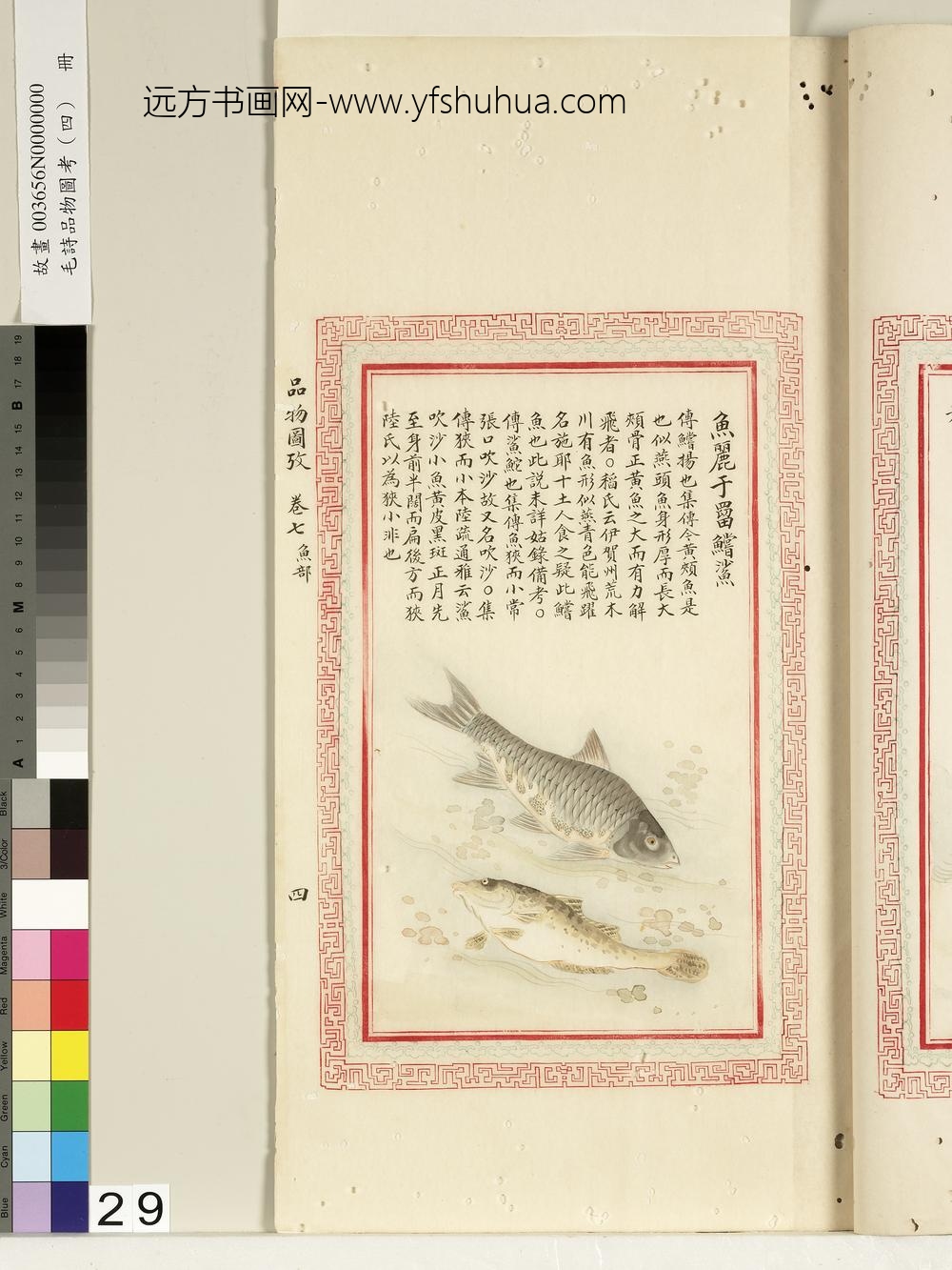 毛诗品物图考（四）册-鱼丽于罶鲿鲨-