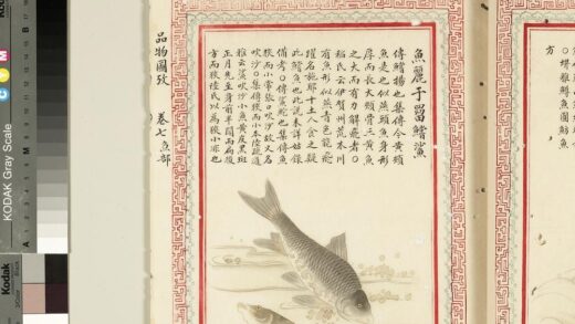 毛诗品物图考（四）册 鱼丽于罶鲿鲨 2.jpg