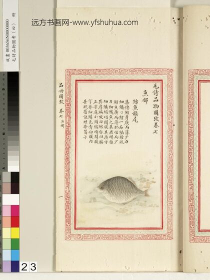 毛诗品物图考（四）册 鲂鱼赪尾 1.jpg