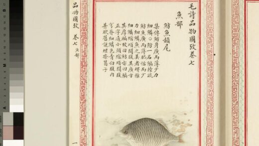 毛诗品物图考（四）册 鲂鱼赪尾 1.jpg