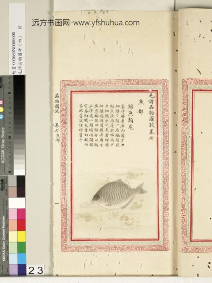 毛诗品物图考（四）册 鲂鱼赪尾 2.jpg