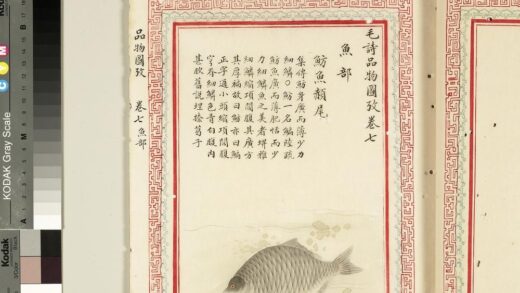 毛诗品物图考（四）册 鲂鱼赪尾 2.jpg
