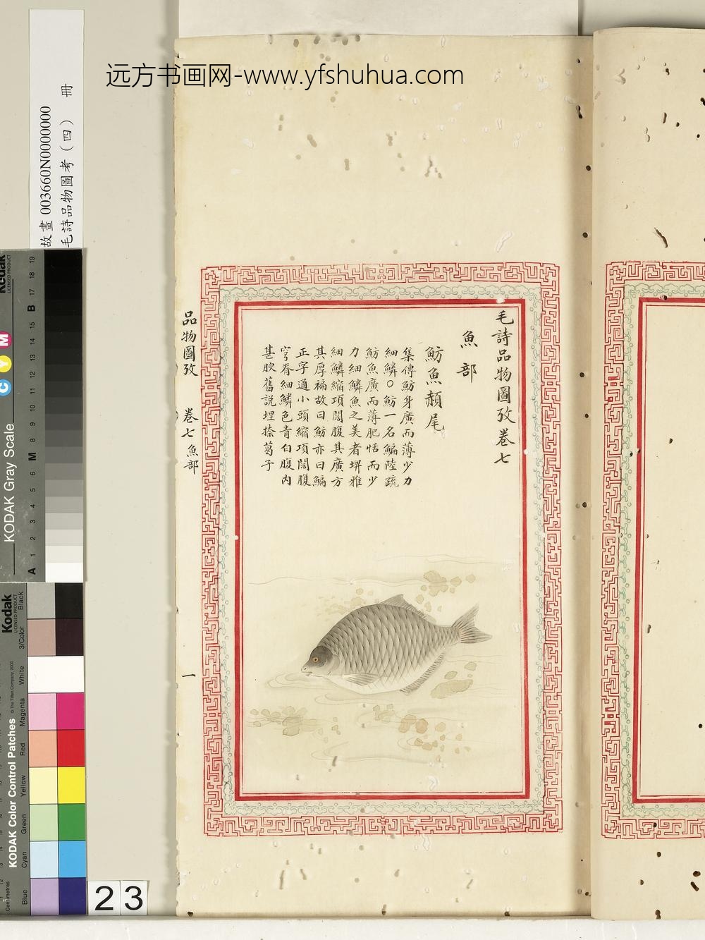 毛诗品物图考（四）册-鲂鱼赪尾-