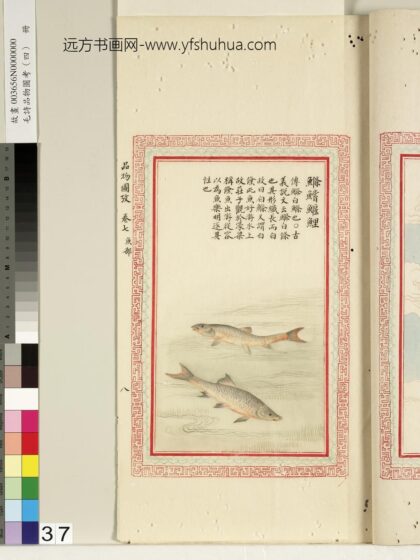 毛诗品物图考（四）册 鲦鲿鰋鲤 1.jpg