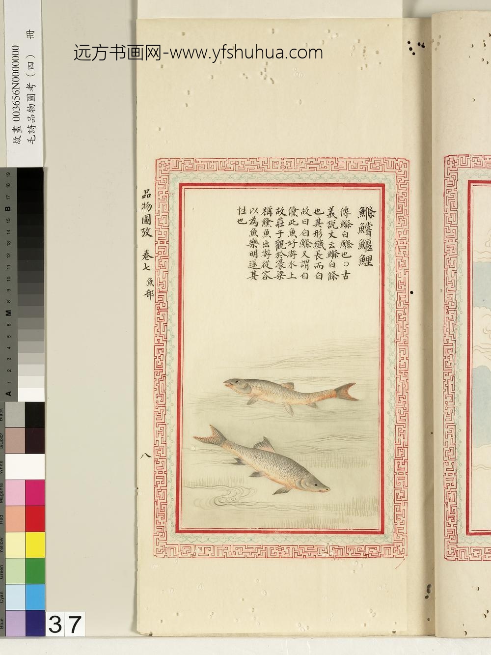 毛诗品物图考（四）册-鲦鲿鰋鲤-