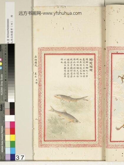 毛诗品物图考（四）册 鲦鲿鰋鲤 2.jpg