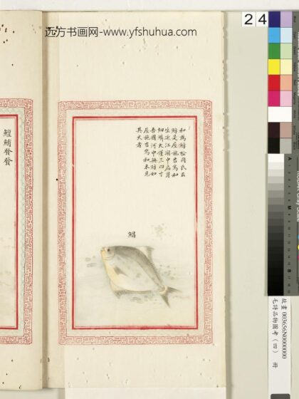 毛诗品物图考（四）册 鲳 1.jpg
