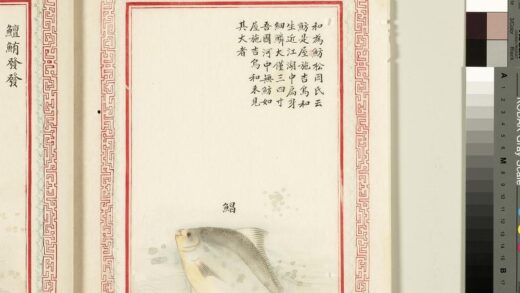 毛诗品物图考（四）册 鲳 1.jpg