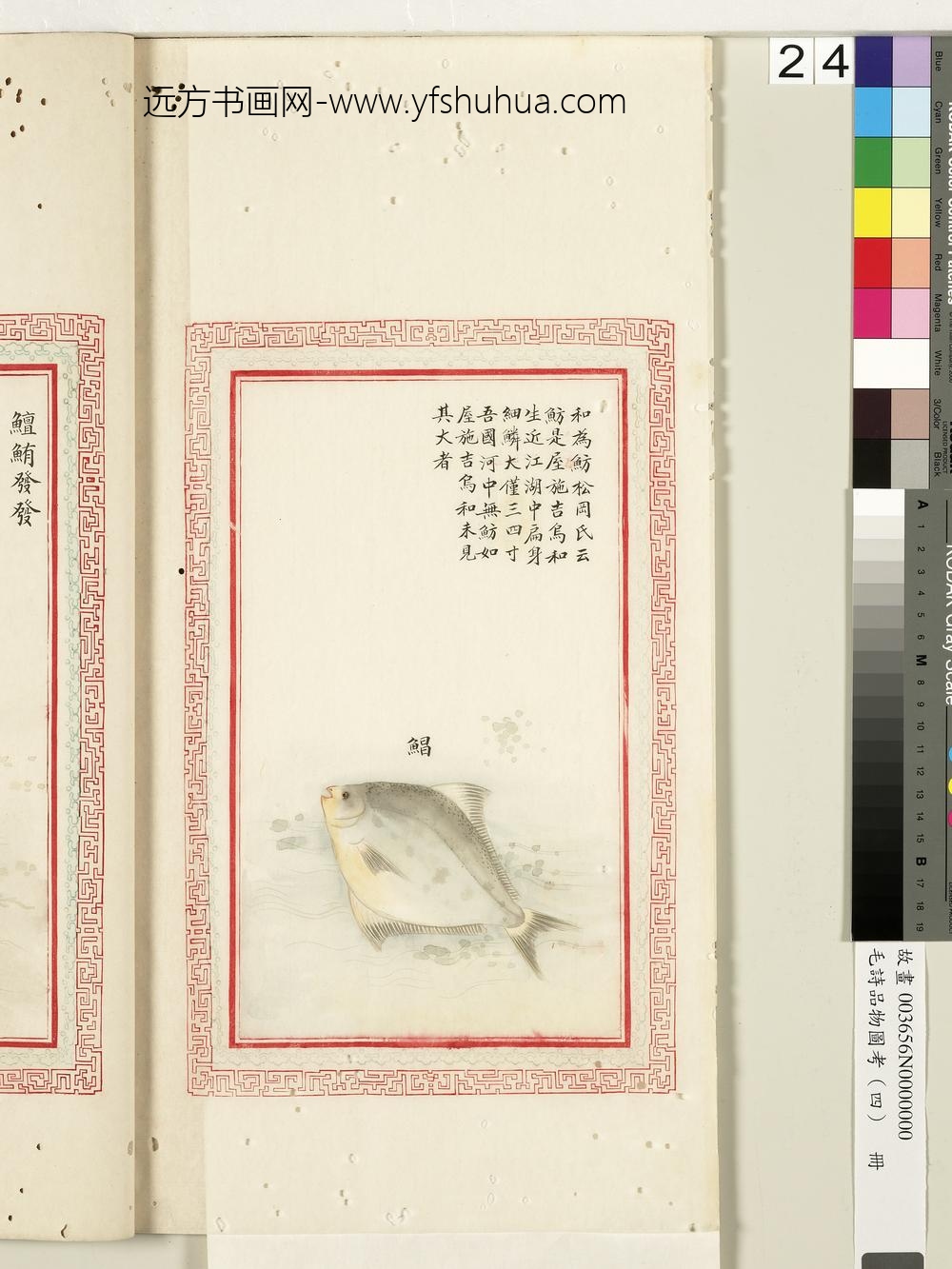 毛诗品物图考（四）册-鲳-