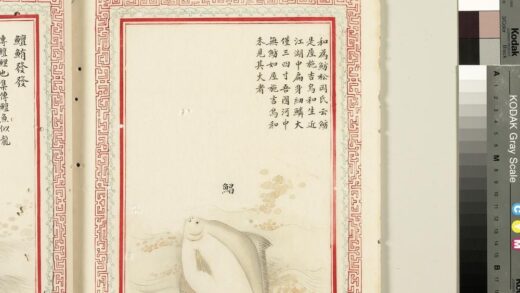 毛诗品物图考（四）册 鲳 2.jpg