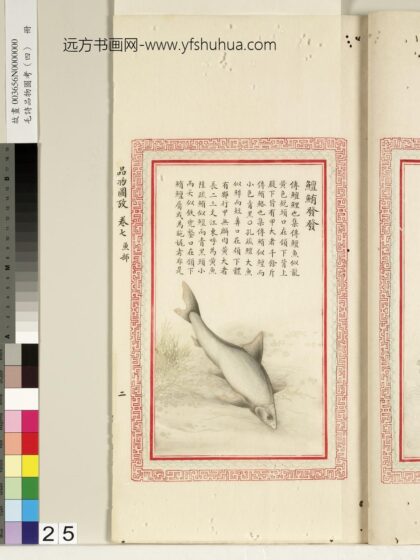 毛诗品物图考（四）册 鳣鲔发发 1.jpg