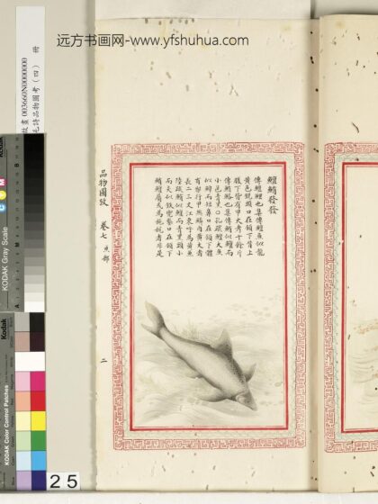 毛诗品物图考（四）册 鳣鲔发发 2.jpg