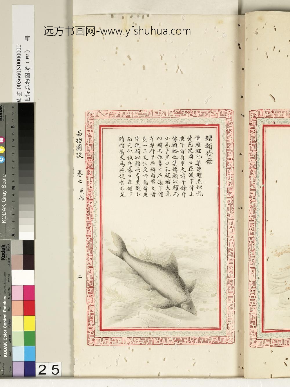 毛诗品物图考（四）册-鳣鲔发发-