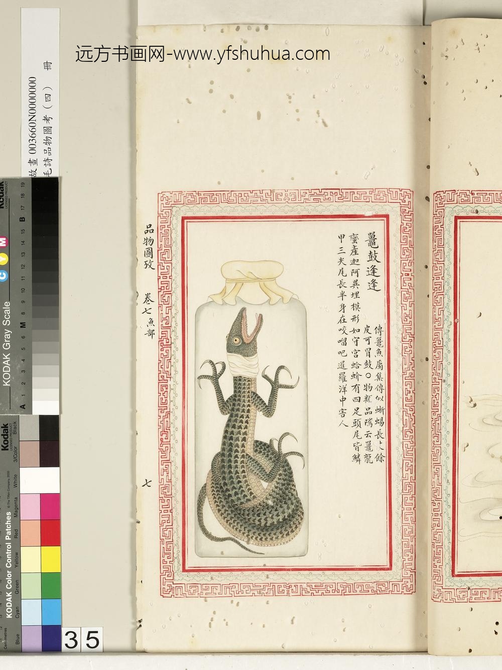 毛诗品物图考（四）册-鼍鼓逢逢-