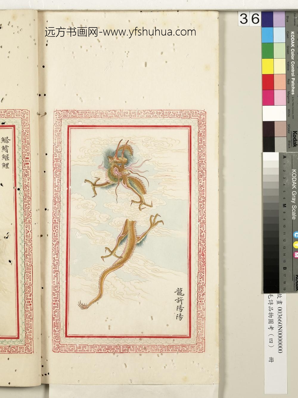 毛诗品物图考（四）册-龙旗阳阳-