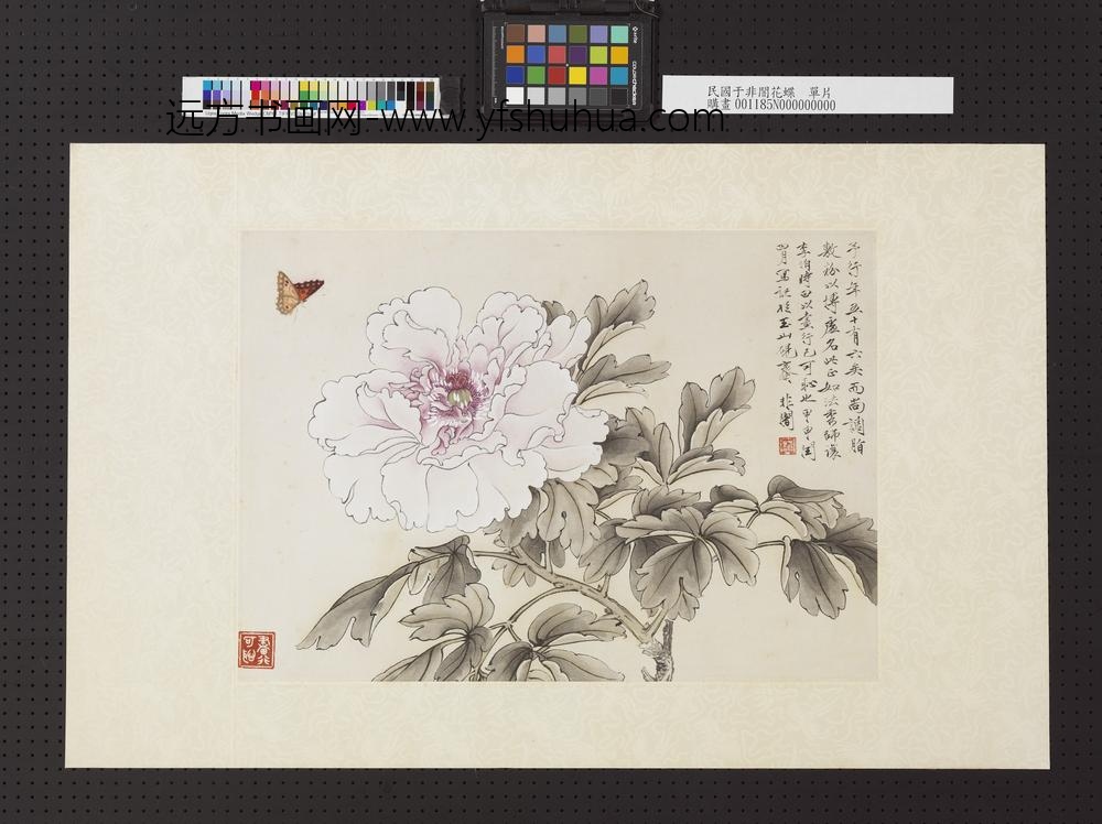 民国于非闇花蝶单片