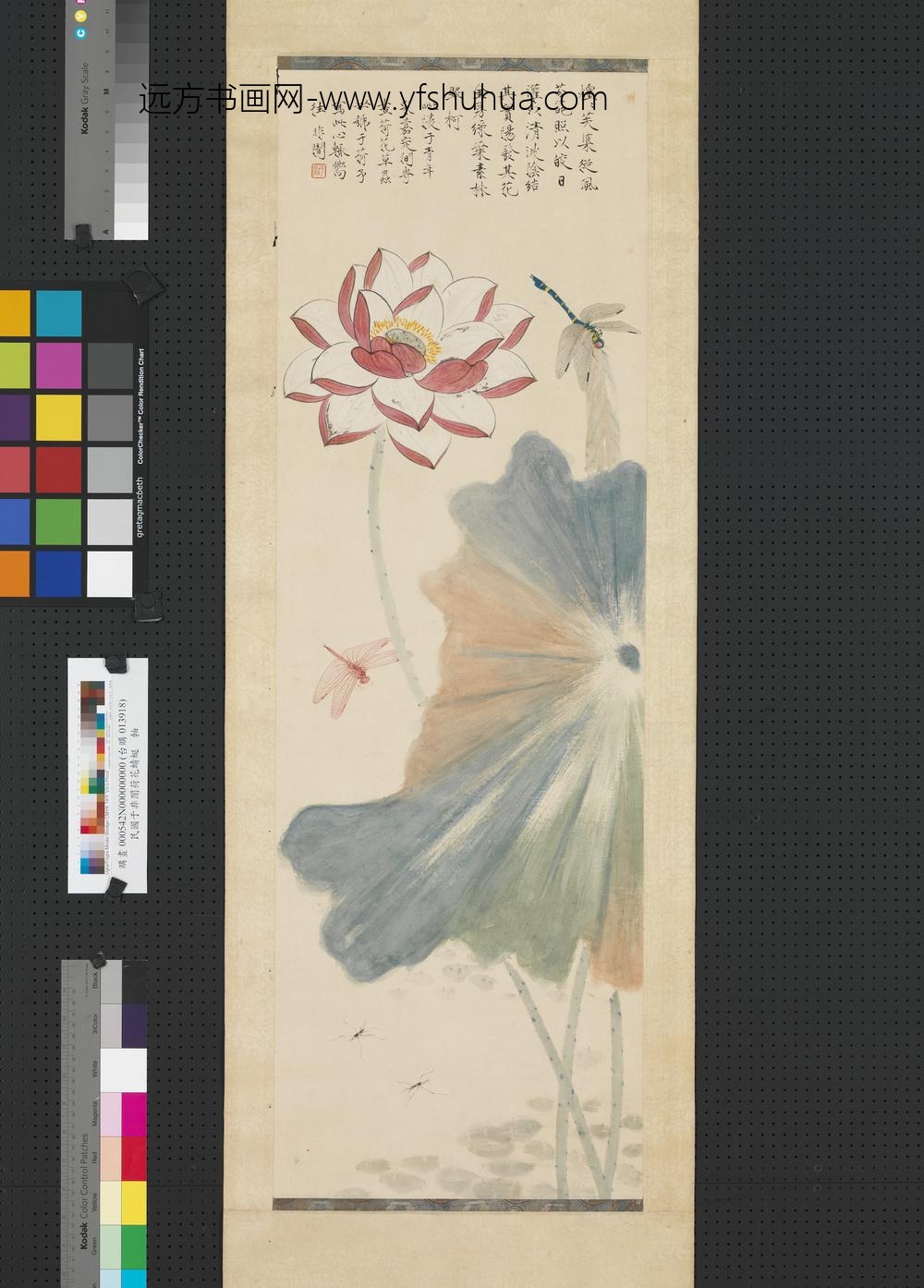 民国于非闇荷花蜻蜓轴