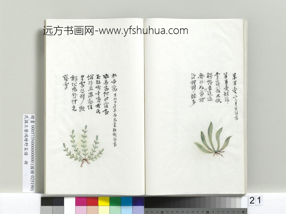 民国人绘王盘野菜谱册-