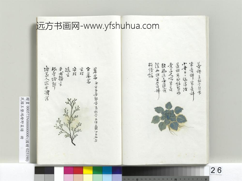 民国人绘王盘野菜谱册-