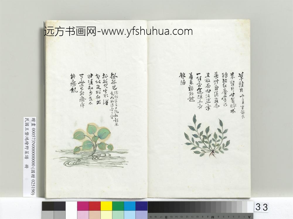 民国人绘王盘野菜谱册-