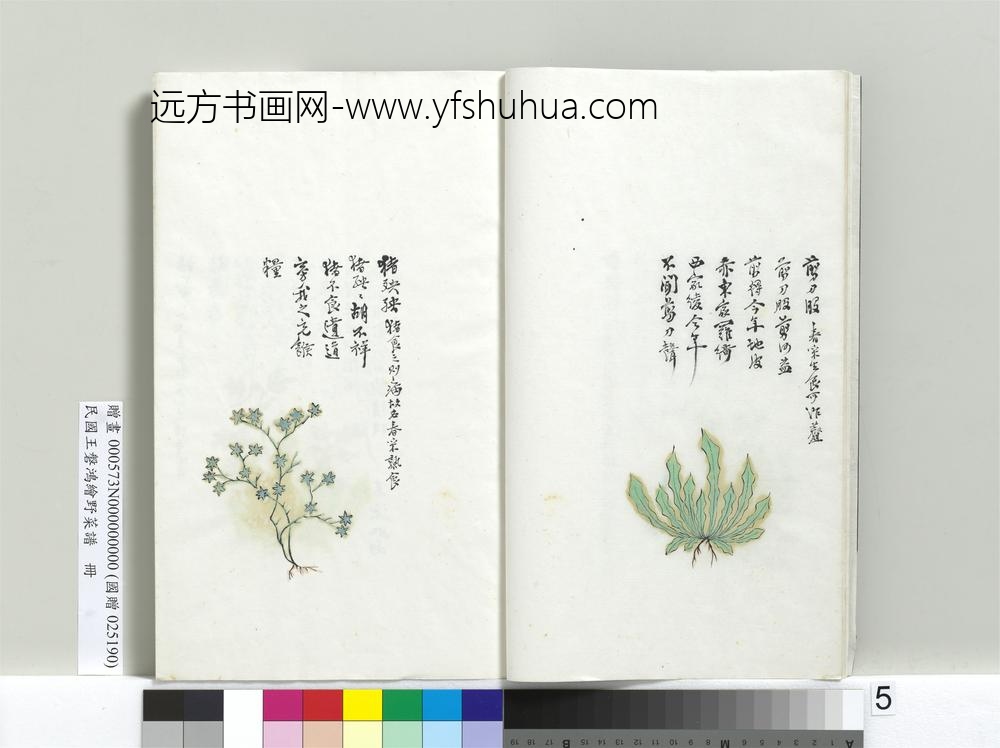 民国人绘王盘野菜谱册-