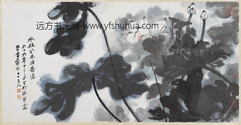 民国张大千荷花单片