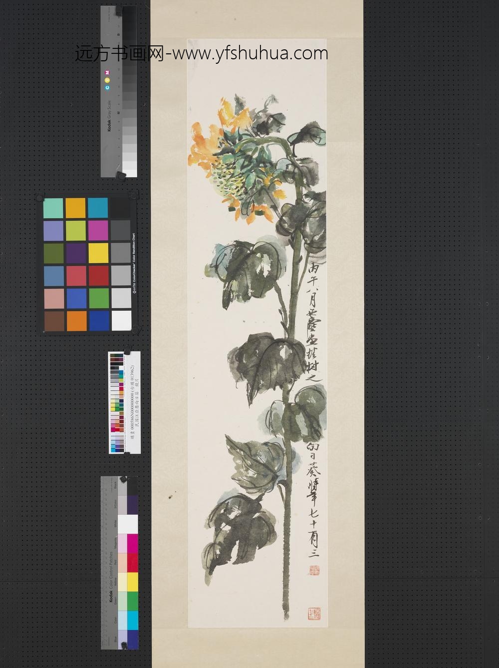 民国汪亚尘向日葵镜片