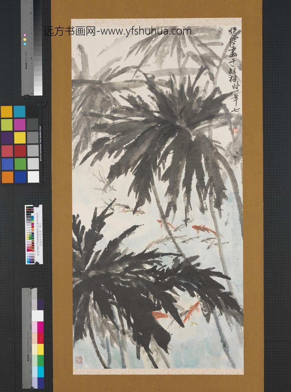 民国汪亚尘鱼镜片