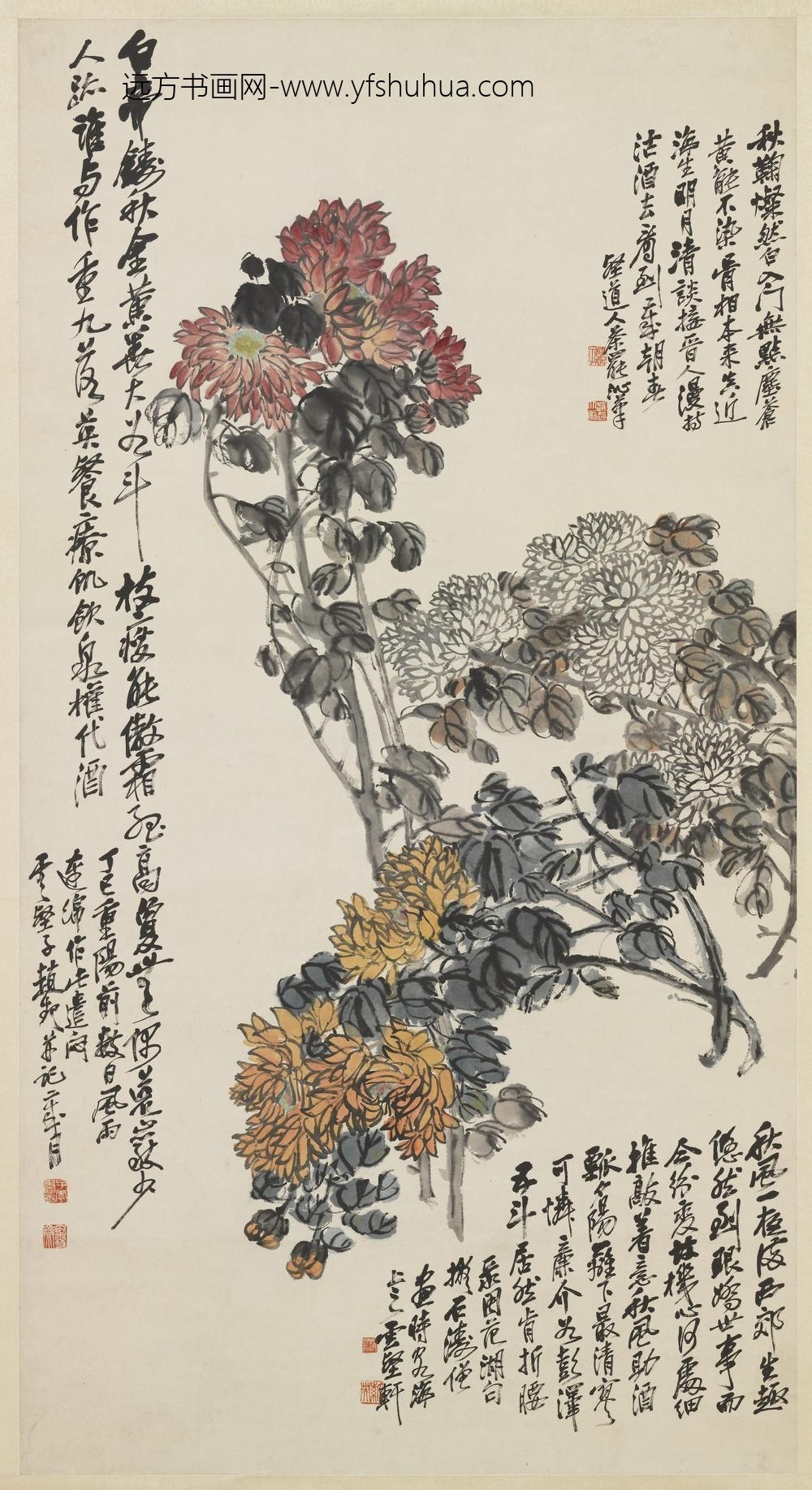 民国赵起菊花轴