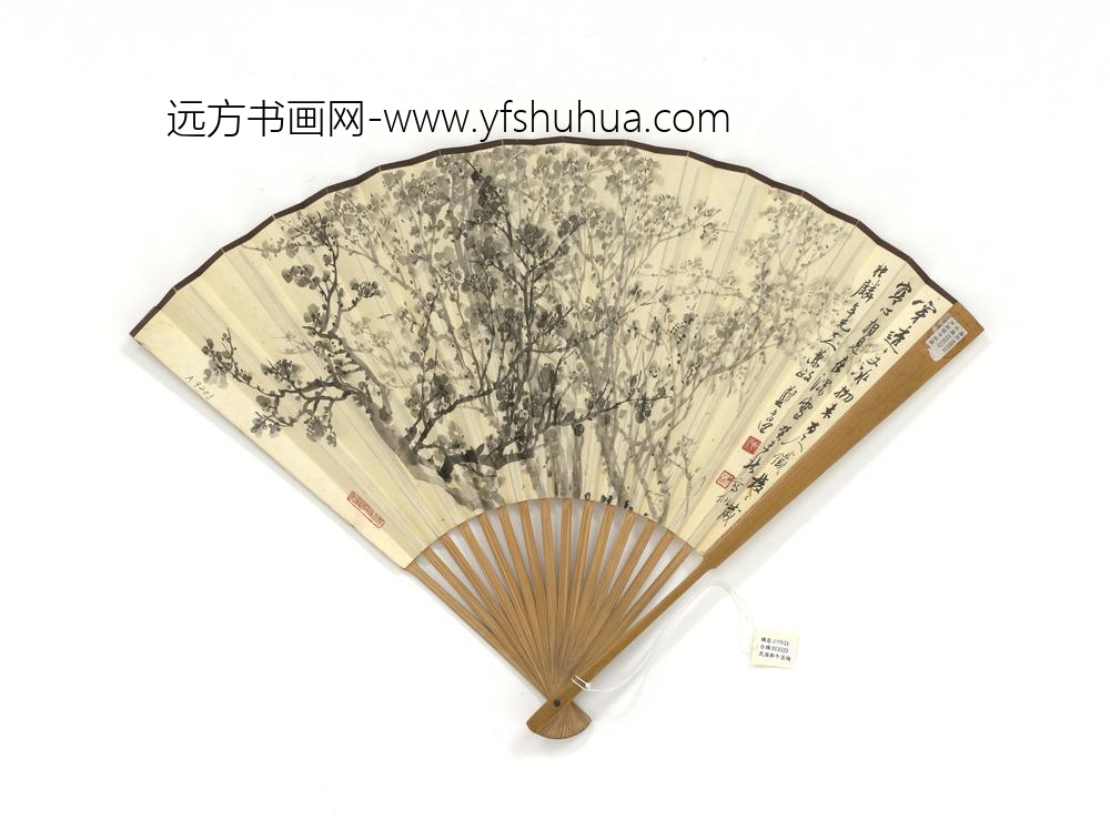 民国郑昶画墨梅并书诗成扇-