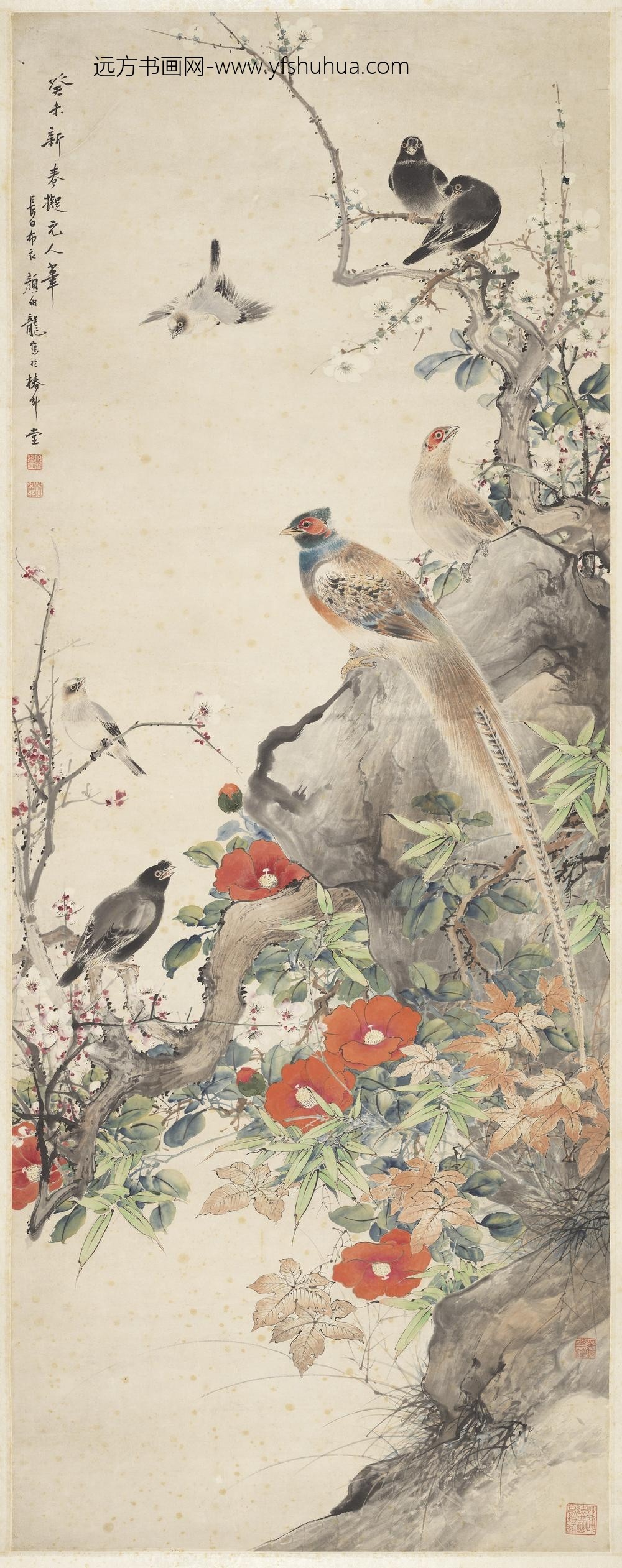 民国颜伯龙花鸟单片